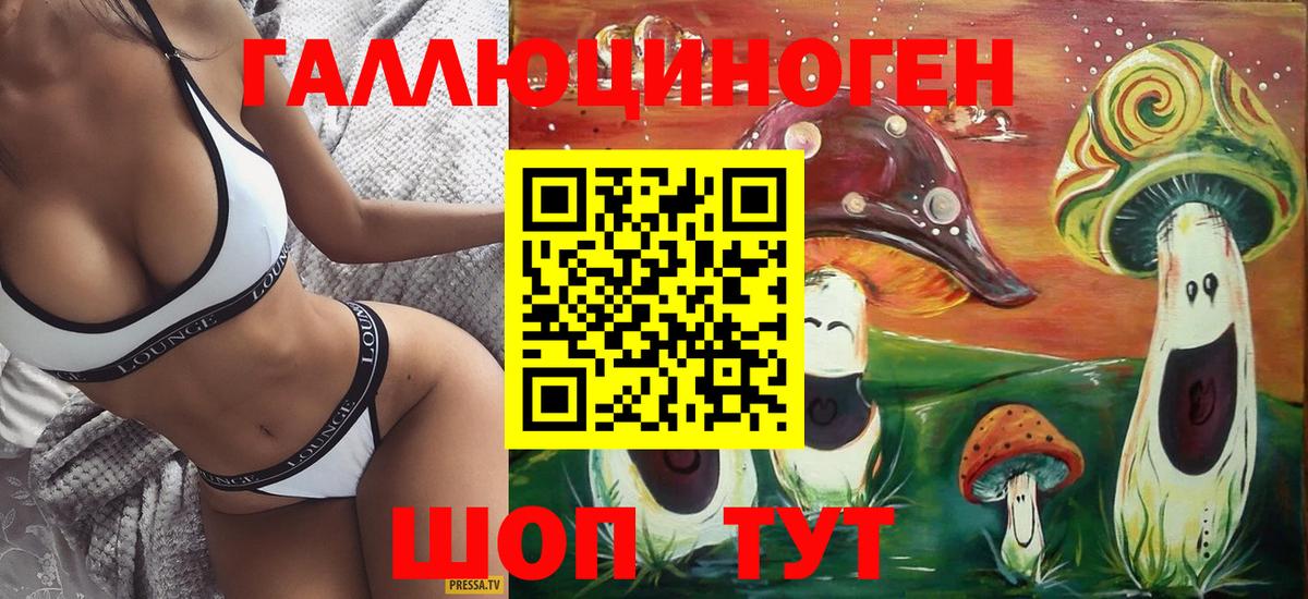 Псилоцибиновые грибы Psilocybe Гулькевичи